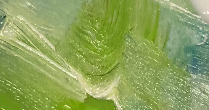 atelier_peinture_energetique_garozarts 003